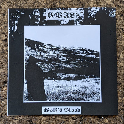 A Reflection Of The Past / Where The Sun Was Never Born (VINYL + 7") | Near Mint (NM or M-) Near Mint (NM or M-) - METAL / USED *NEAR MINT*