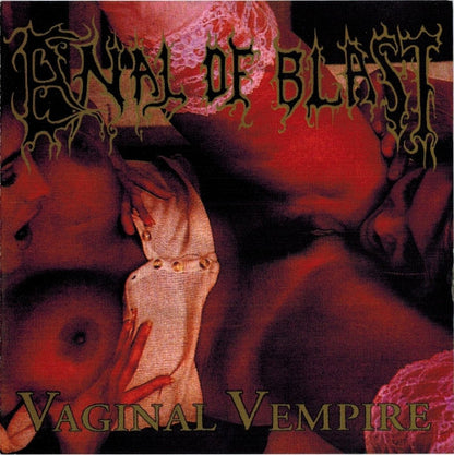 Vaginal Vempire (CD) | Near Mint (NM) Near Mint (NM) - METAL / USED *NEAR MINT*
