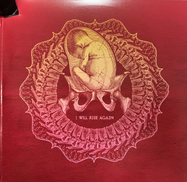 The Acacia Strain - Death Is The Only Mortal (VINYL LP RISE RISE 177-1 2012) | Near Mint (NM or M-) Near Mint (NM) - METAL / USED *NEAR MINT*