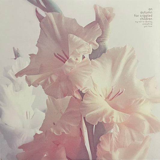 Try Not To Destroy Everything You Love (VINYL) | Near Mint (NM) Near Mint (NM) - METAL / USED *NEAR MINT*