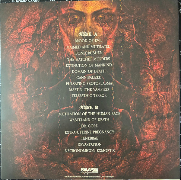 Domain Of Death (VINYL) | Near Mint (NM) Near Mint (NM) - METAL / USED *NEAR MINT*