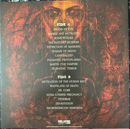 Domain Of Death (VINYL) | Near Mint (NM) Near Mint (NM) - METAL / USED *NEAR MINT*