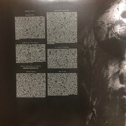 Slipknot - We Are Not Your Kind (VINYL 2LP) | Near Mint (NM or M-) Near Mint (NM) - METAL / USED *NEAR MINT*