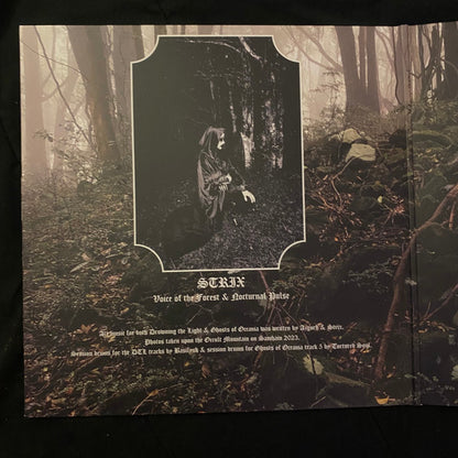 Mountain Of Malevolence (VINYL) | Near Mint (NM or M-) Near Mint (NM or M-) - METAL / USED *NEAR MINT*