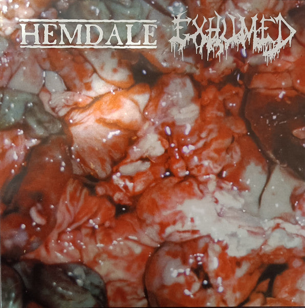 In The Name Of Gore (VINYL) | Near Mint (NM) Mint (M) - METAL / USED *NEAR MINT*