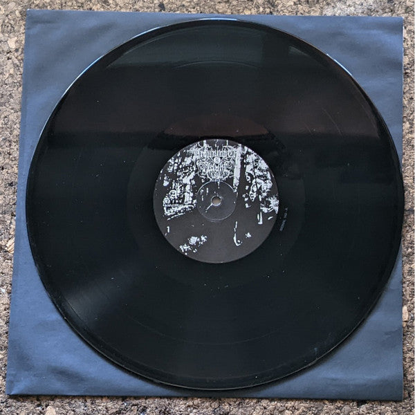 A Reflection Of The Past / Where The Sun Was Never Born (VINYL + 7") | Near Mint (NM or M-) Near Mint (NM or M-) - METAL / USED *NEAR MINT*