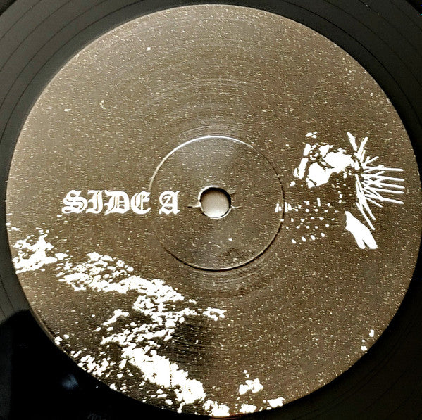 The Longing (2xVINYL) | Near Mint (NM) Near Mint (NM or M-) - METAL / USED *NEAR MINT*