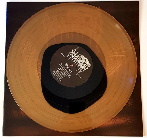 Varjot (VINYL) | Near Mint (NM or M-) Near Mint (NM) - METAL / USED *NEAR MINT*