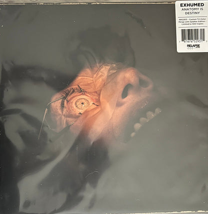 Anatomy Is Destiny (VINYL) | Near Mint (NM) Mint (M) - METAL / USED *NEAR MINT*