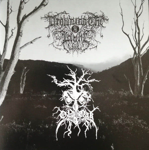 Old Oak / Drowning The Light (VINYL) | Near Mint (NM or M-) Near Mint (NM) - METAL / USED *NEAR MINT*