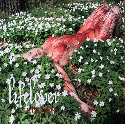 Pulver (VINYL) | Near Mint (NM) Near Mint (NM) - METAL / USED *NEAR MINT*