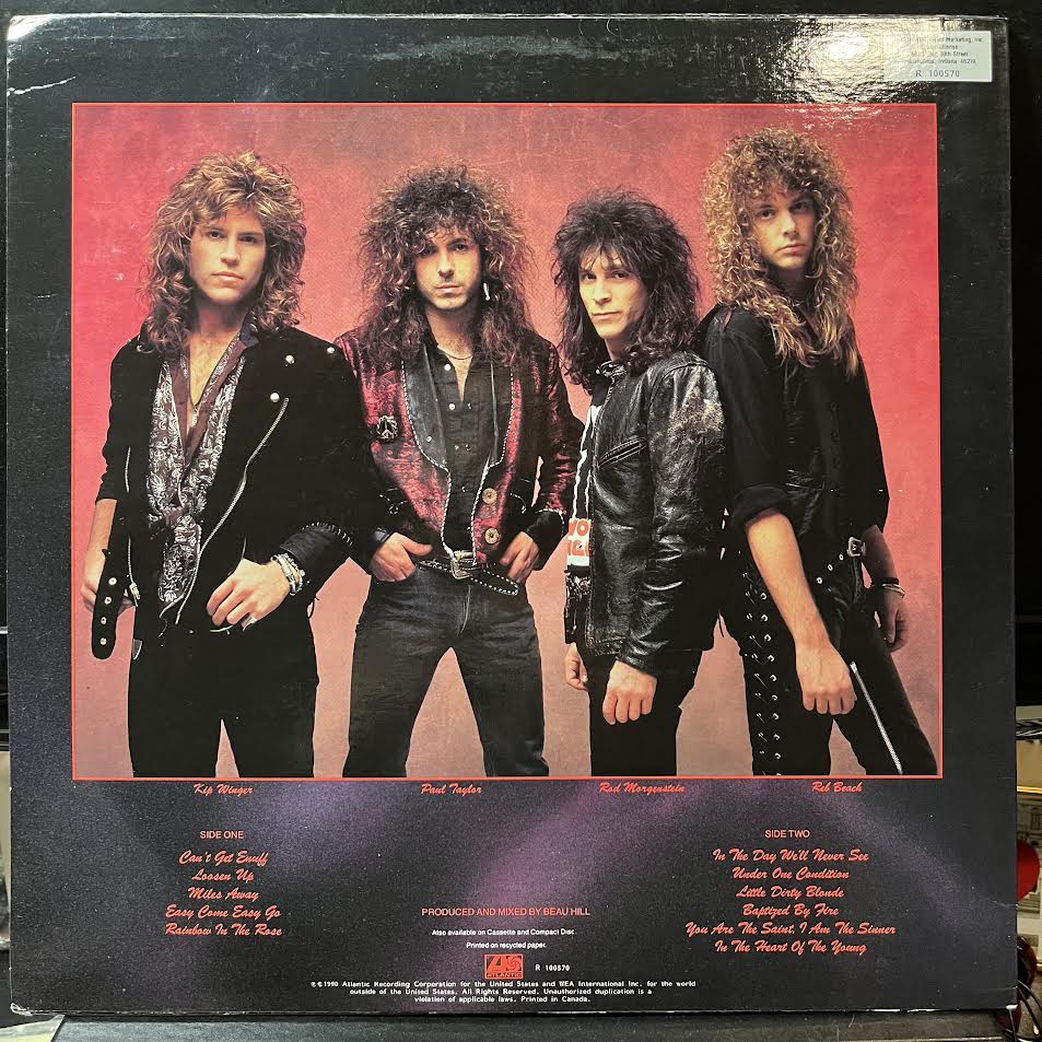 In The Heart Of The Young (VINYL) | Near Mint (NM or M-) Near Mint (NM or M-) - METAL / USED *NEAR MINT*