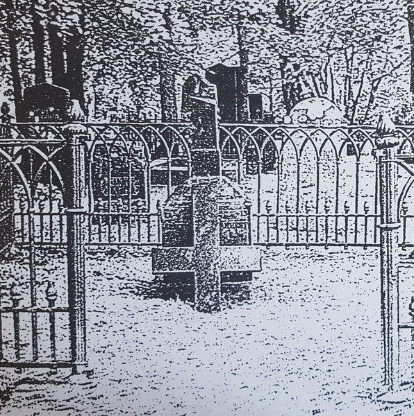 Carelian Satanist Madness (VINYL) | Near Mint (NM) Near Mint (NM) - METAL / USED *NEAR MINT*