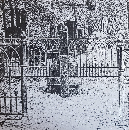 Carelian Satanist Madness (VINYL) | Near Mint (NM) Near Mint (NM) - METAL / USED *NEAR MINT*