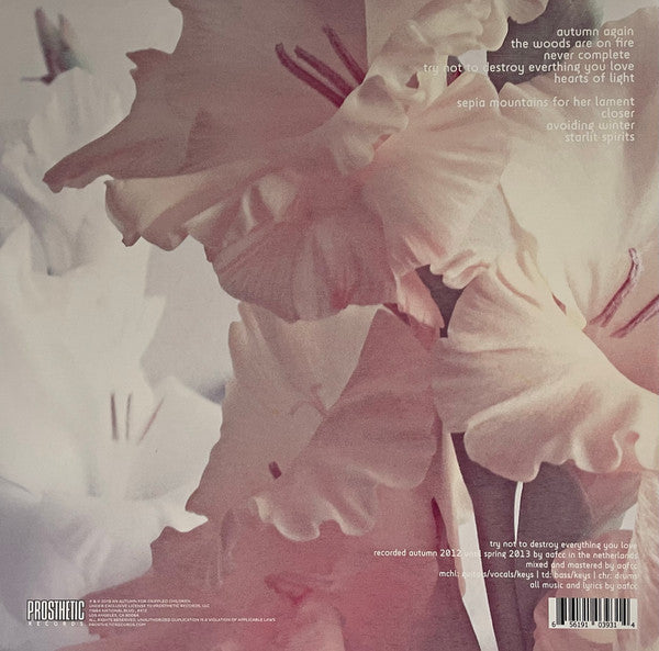 Try Not To Destroy Everything You Love (VINYL) | Near Mint (NM) Near Mint (NM) - METAL / USED *NEAR MINT*