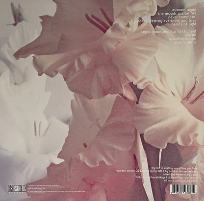 Try Not To Destroy Everything You Love (VINYL) | Near Mint (NM) Near Mint (NM) - METAL / USED *NEAR MINT*