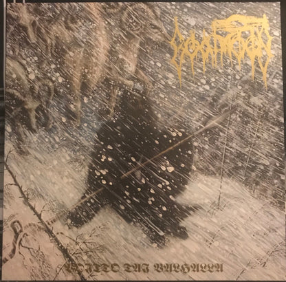 Voitto Tai Valhalla (VINYL) | Near Mint (NM or M-) Near Mint (NM) - METAL / USED *NEAR MINT*