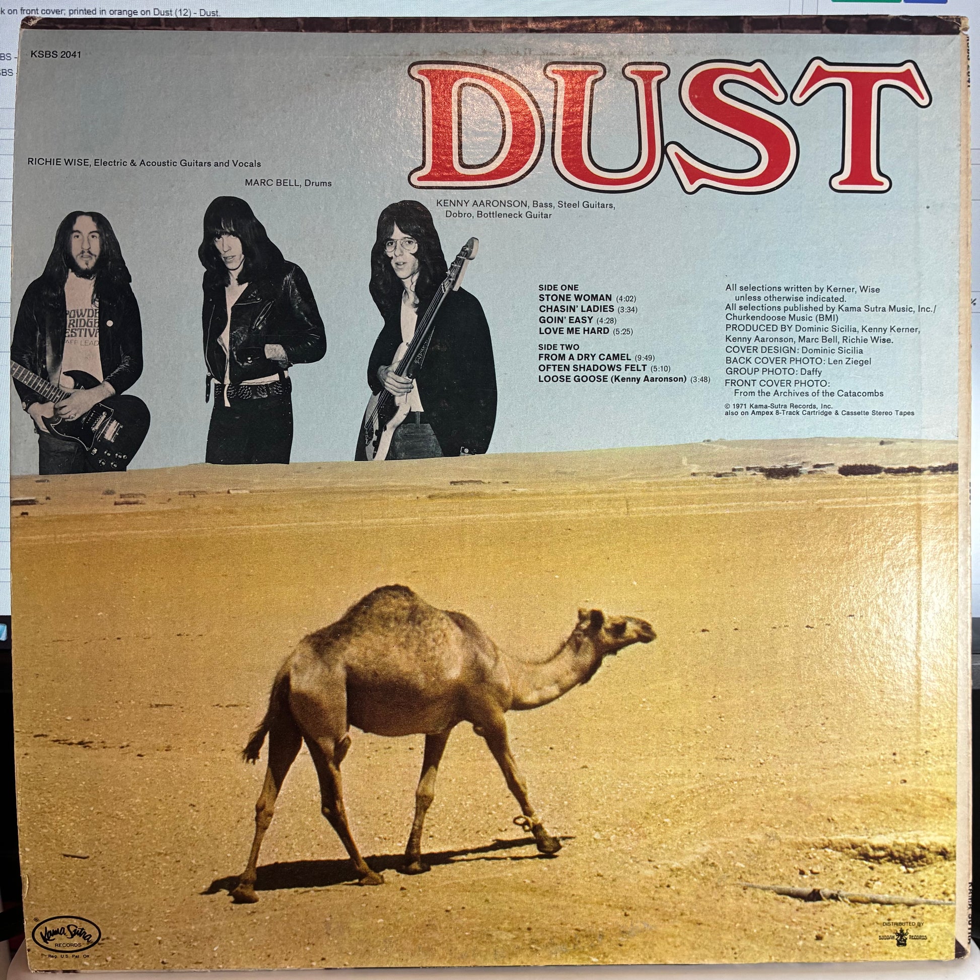 Dust (VINYL) | Very Good Plus (VG+) Excellent (EX) - METAL / USED *VERY GOOD+*