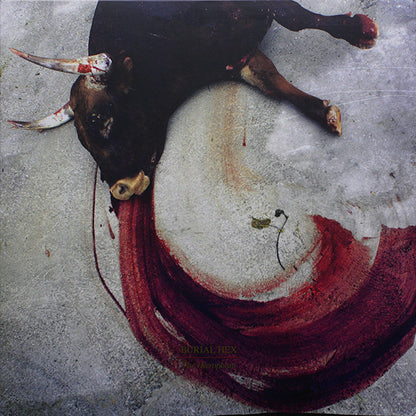 Burial Hex - The Hierophant (COLOR VINYL LP) | - METAL / USED *VERY GOOD*