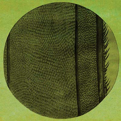 The Ring of the Rise |