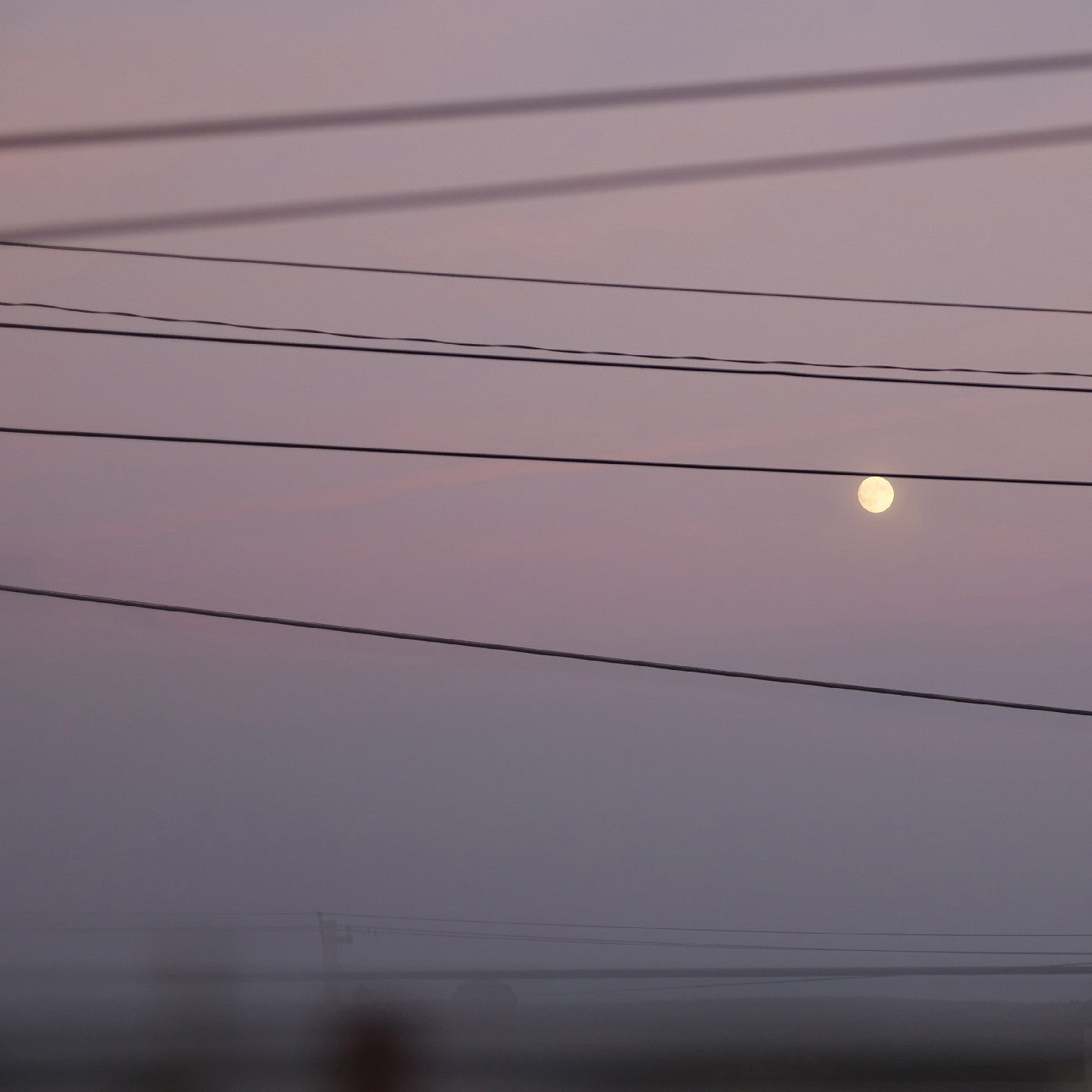 Michael Scott Dawson - Long Slow Distance |