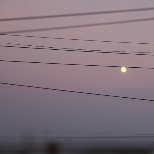 Michael Scott Dawson - Long Slow Distance |