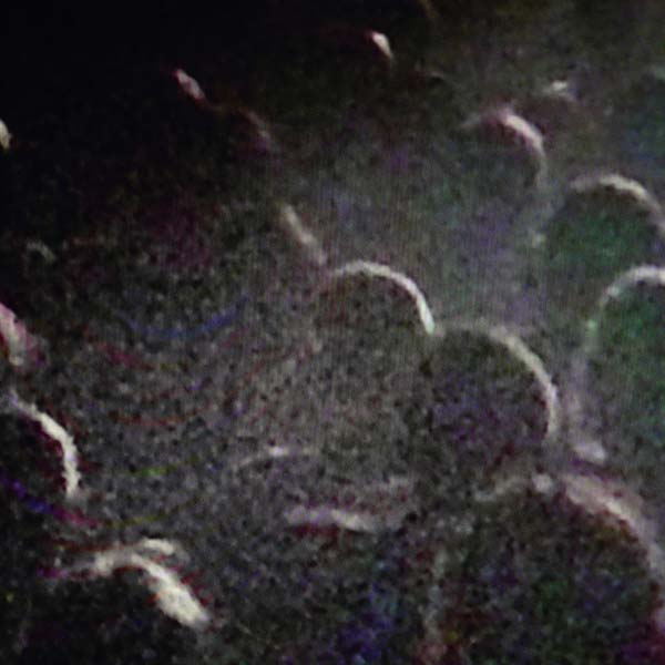 Live a La Gaite Lyrique |