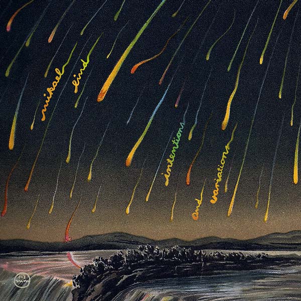 Intentions and Variations |