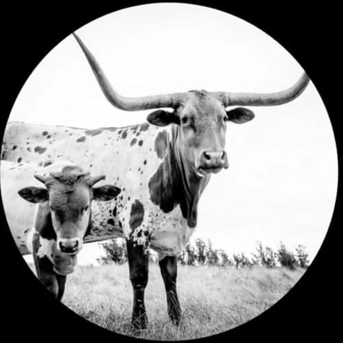 West Texas Blues |