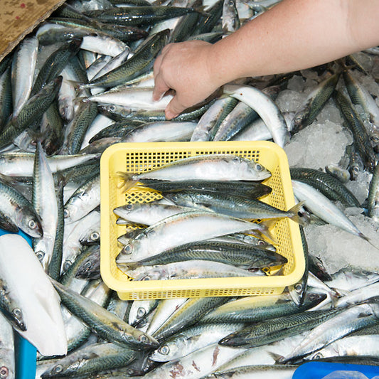 Processed Snippets: Congo Traditional 1952 & 1957 |