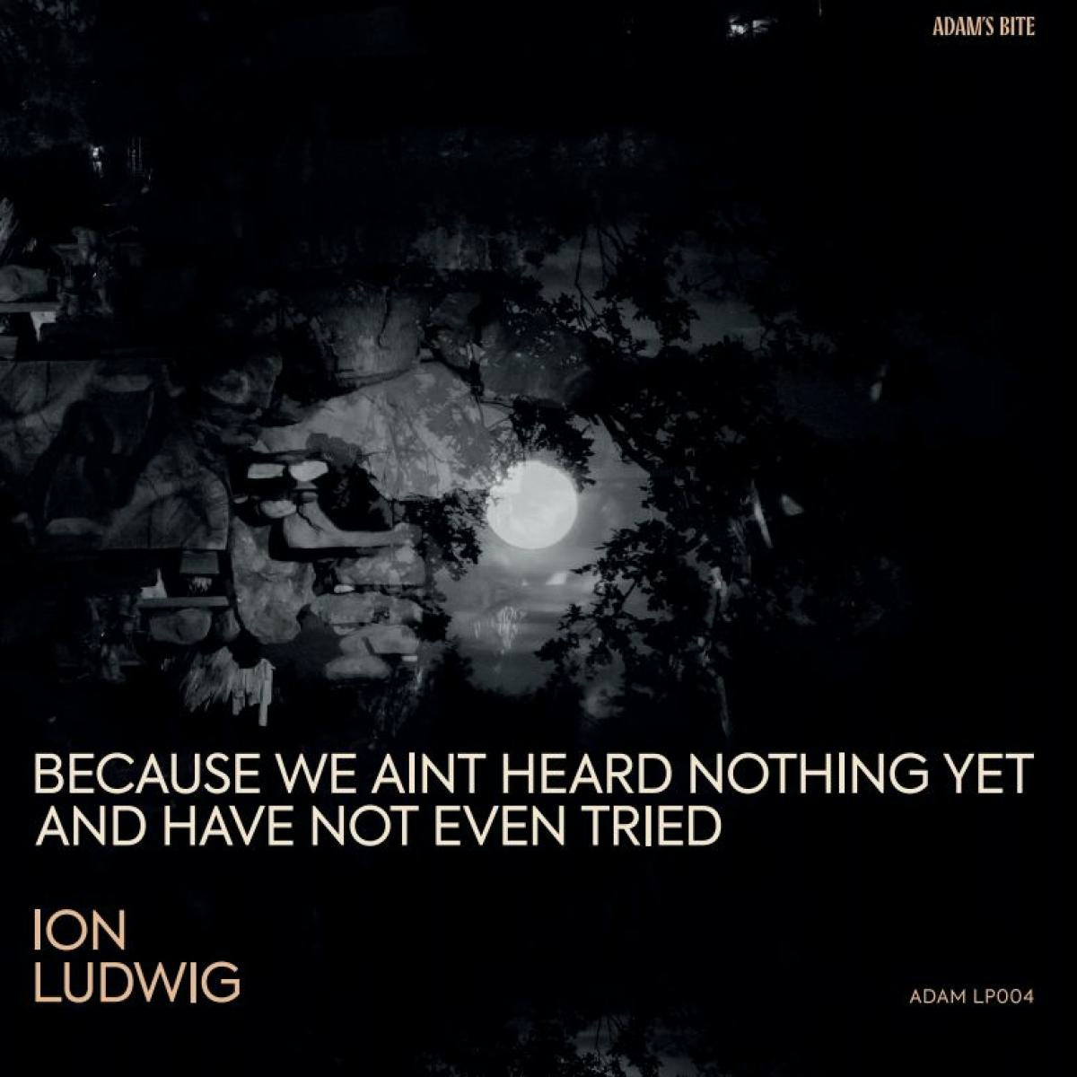 Ion Ludwig - (PRESALE TBD) Because We Aint Heard Nothing Yet And Have Not Even Tried (3xVINYL) | Mint (M) Mint (M) - MINIMAL *NEW*
