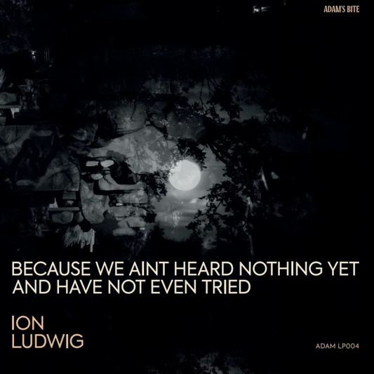 Ion Ludwig - (PRESALE TBD) Because We Aint Heard Nothing Yet And Have Not Even Tried (3xVINYL) | Mint (M) Mint (M) - MINIMAL *NEW*