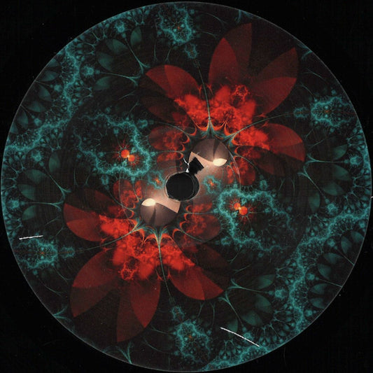 Arapu, Simone Adinolfi - Endless Lapse (VINYL 12" No Rush) | NEW - MINIMAL *NEW*
