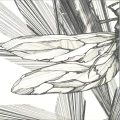 Transparency EP (2xVINYL) | Mint (M) Mint (M) - MINIMAL *NEW*