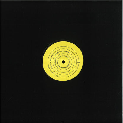 Stojche - Echowaves (MARBLED VINYL 12" Luck of Access) | NEW - MINIMAL *NEW*