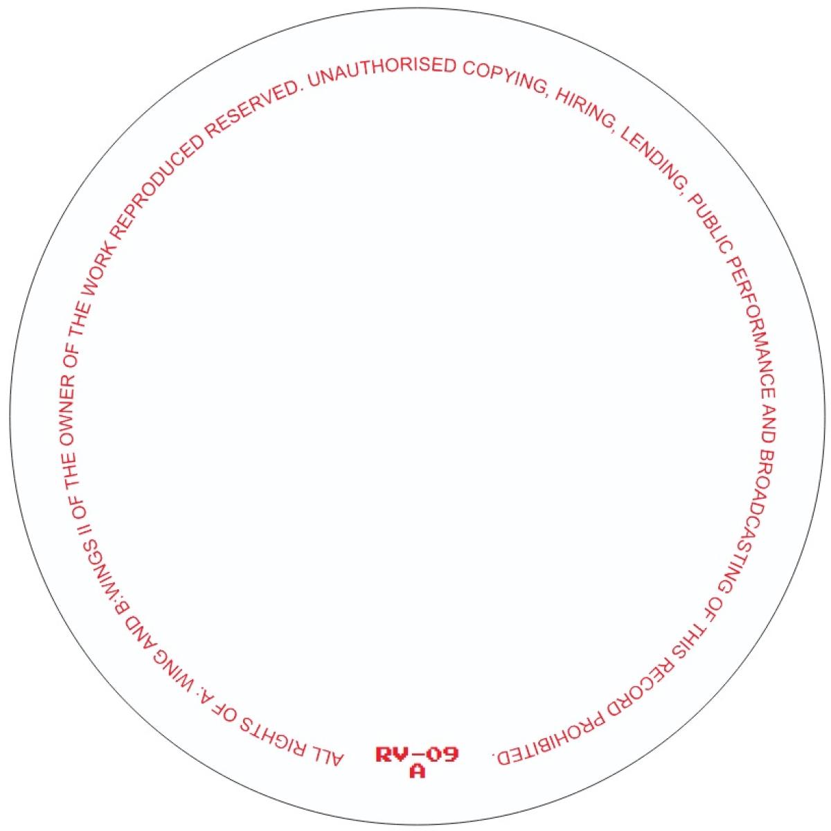 RICARDO VILLALOBOS - (PRESALE 08/10/26) WINGS (VINYL 12" Rawax RV-09 2026) | NEW - MINIMAL *NEW*