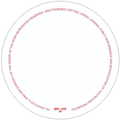 RICARDO VILLALOBOS - (PRESALE 08/10/26) WINGS (VINYL 12" Rawax RV-09 2026) | NEW - MINIMAL *NEW*