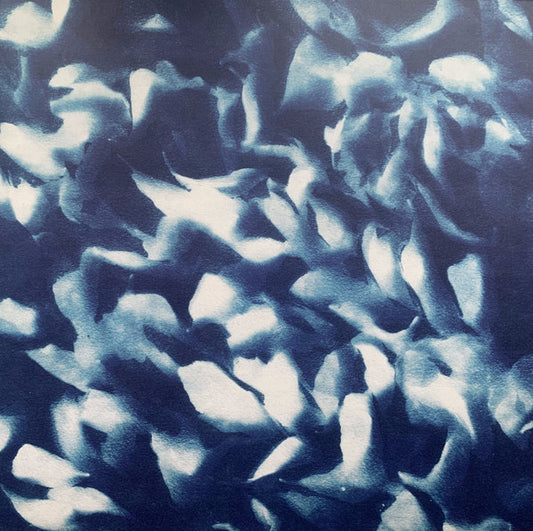 (PRESALE 5/25/26) Mosaic (VINYL) | Mint (M) Mint (M) - MINIMAL *NEW*