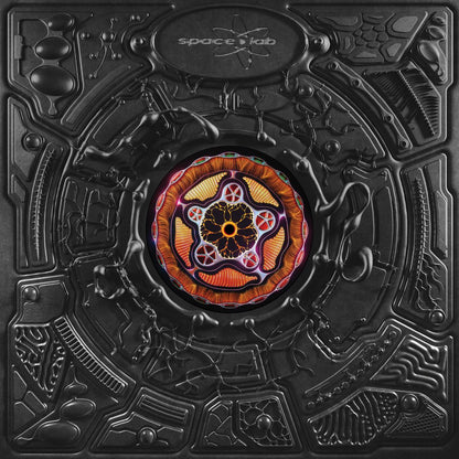 RDS - (PRESALE 11/20/26) Dusk / Illusions (VINYL 12" Space Lab) | NEW - MINIMAL *NEW*