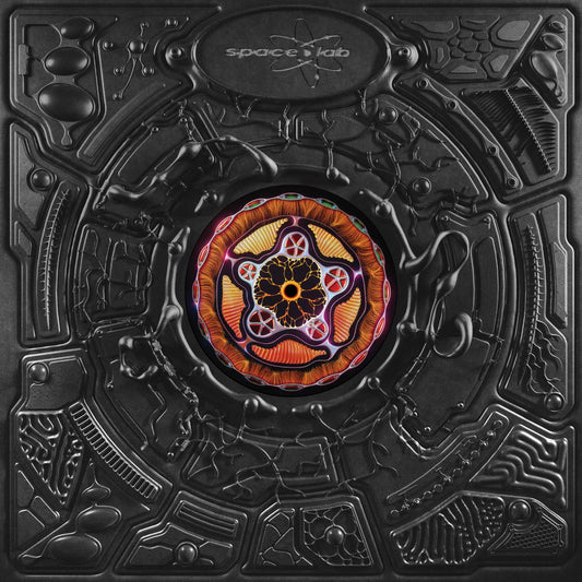 RDS - (PRESALE 11/20/26) Dusk / Illusions (VINYL 12" Space Lab) | NEW - MINIMAL *NEW*