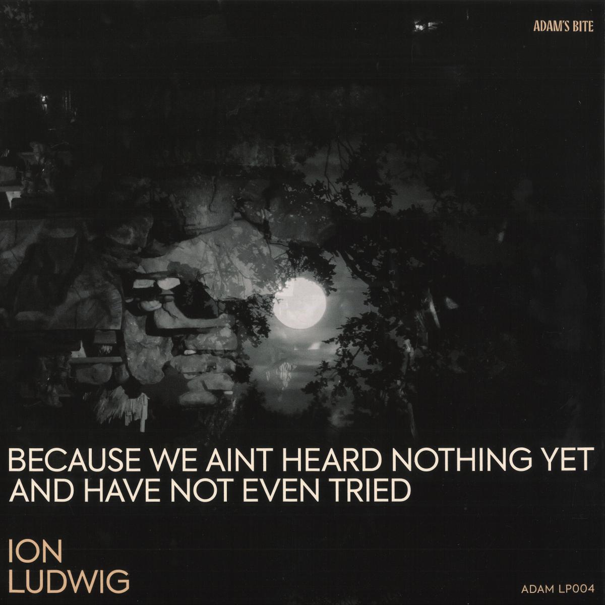 Ion Ludwig - Because We Aint Heard Nothing Yet And Have Not Even Tried (VINYL 3xLP Adams Bite ADAMLP04) | NEW Mint (M) Mint (M) - MINIMAL *NEW*
