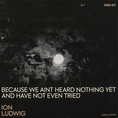 Ion Ludwig - Because We Aint Heard Nothing Yet And Have Not Even Tried (VINYL 3xLP Adams Bite ADAMLP04) | NEW Mint (M) Mint (M) - MINIMAL *NEW*