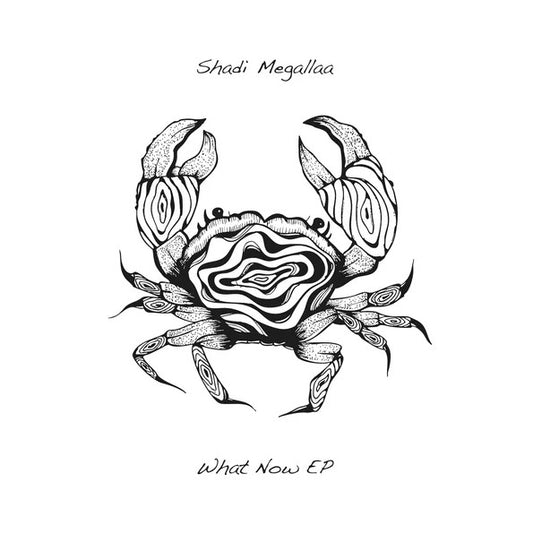 What Now Ep (VINYL) | Mint (M) Mint (M) - MINIMAL *NEW*