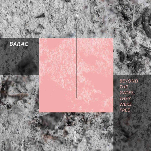 Beyond The Gates, They Were Free (VINYL) | Mint (M) Mint (M) - MINIMAL *SEALED*