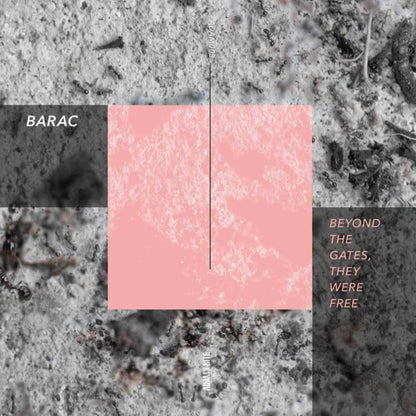 Beyond The Gates, They Were Free (VINYL) | Mint (M) Mint (M) - MINIMAL *SEALED*