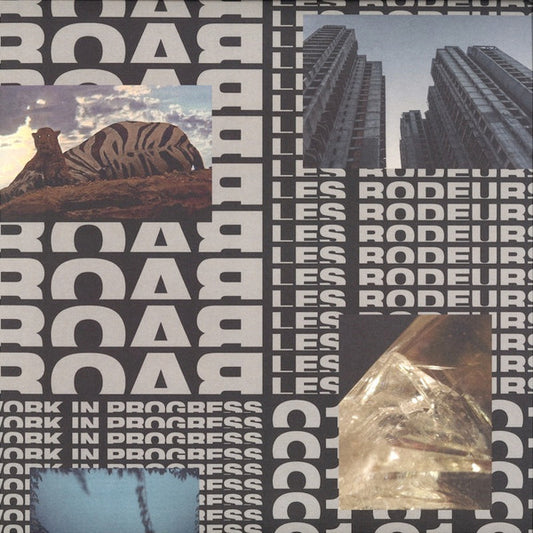 Les Rôdeurs (12" VINYL) | Excellent (EX) Excellent (EX) - MINIMAL / USED *EXCELLENT*