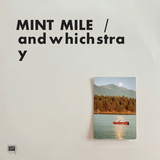 Andwhichstray |