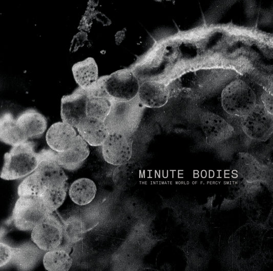 Tindersticks - Minute Bodies: The Intimate World of F. Percy Smith (CD) |