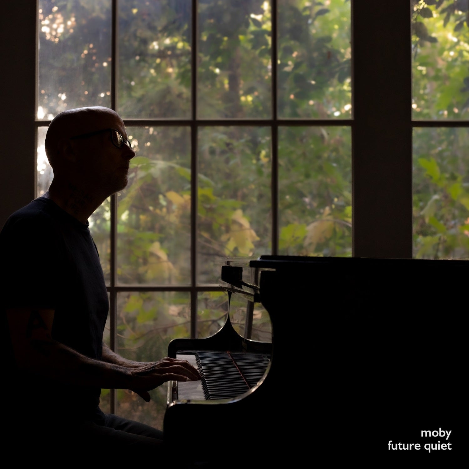 Future Quiet [Transparent Vinyl] [2LP] |