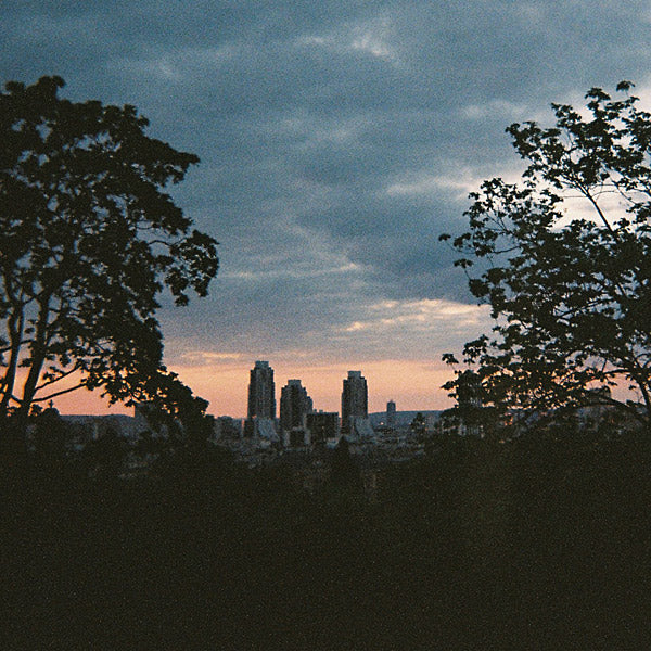 They Fall, But You Don't |